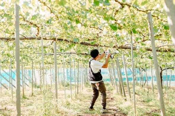 師匠から受け取った愛を、次の人へ - Nice Grapes 大間さん