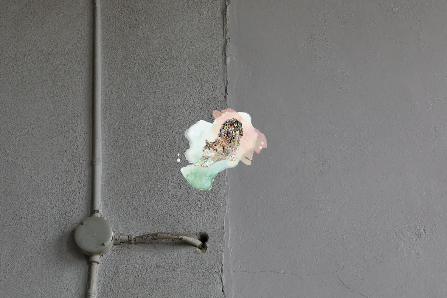 ラベル_生姜とぶしゅかんのミード