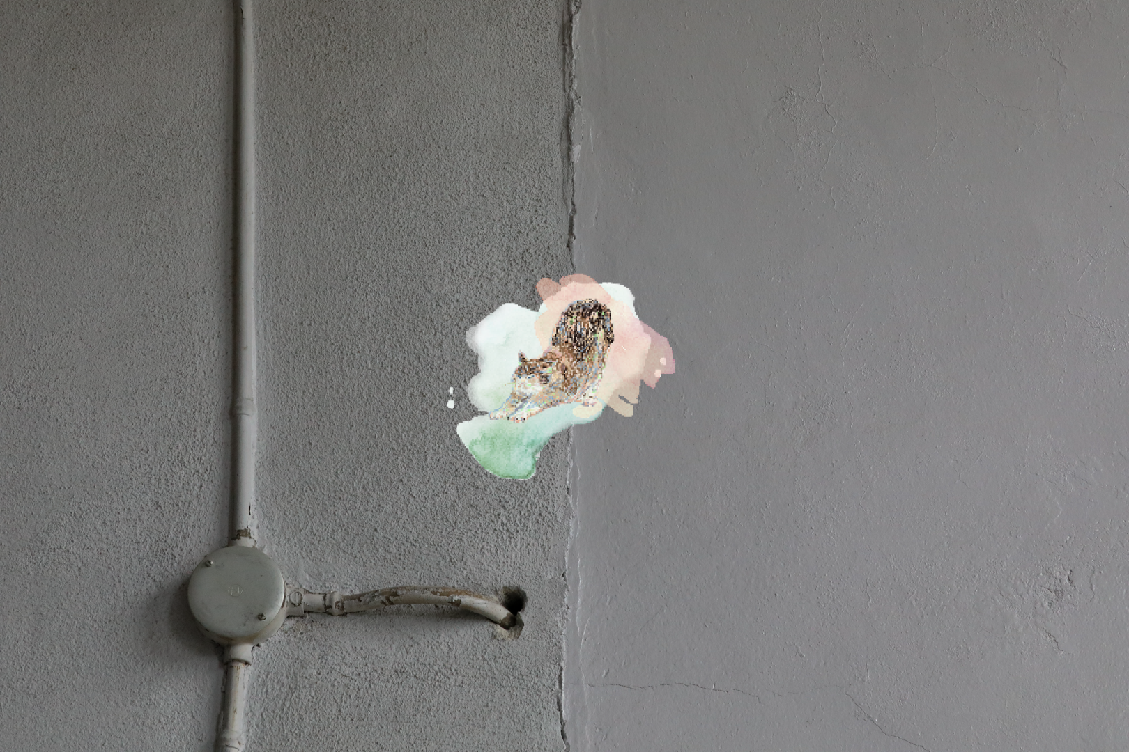 ラベル_生姜とぶしゅかんのミード