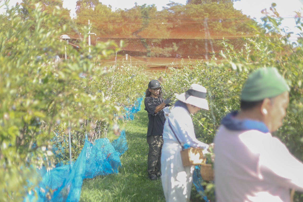 久美子 '23 / 無農薬ブルーベリーのミード