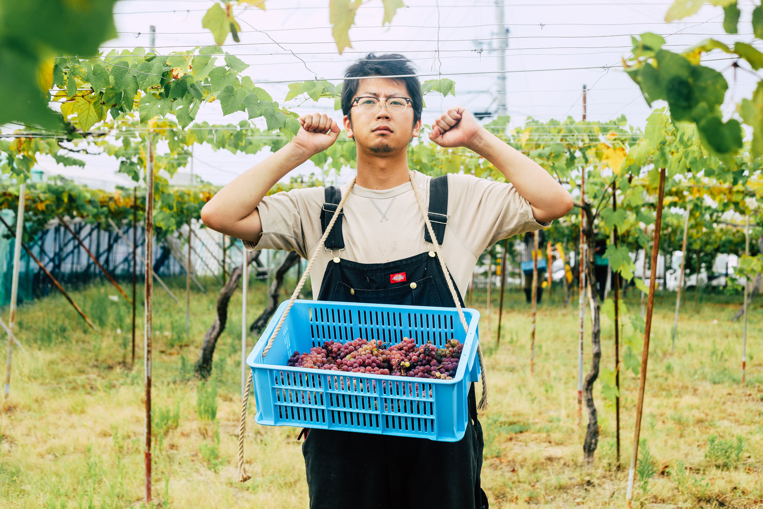 A・P | 国産ブドウを使用したバレルエイジミード