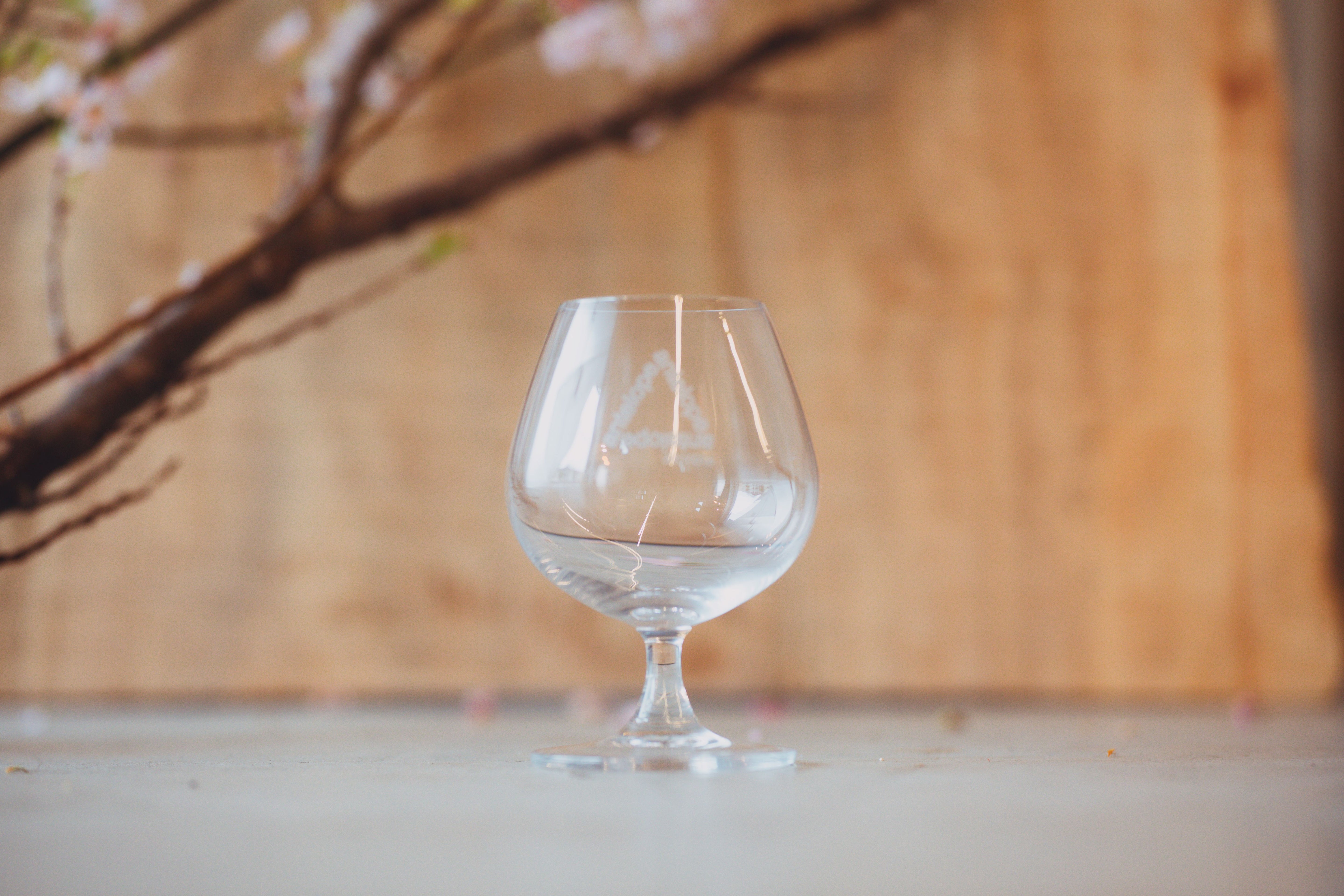 【For Mead】ANTELOPE 5th Anniversary Glass