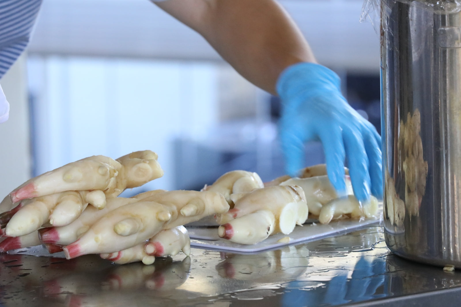 Ginger Cat 4 | 生姜とカシスのミード