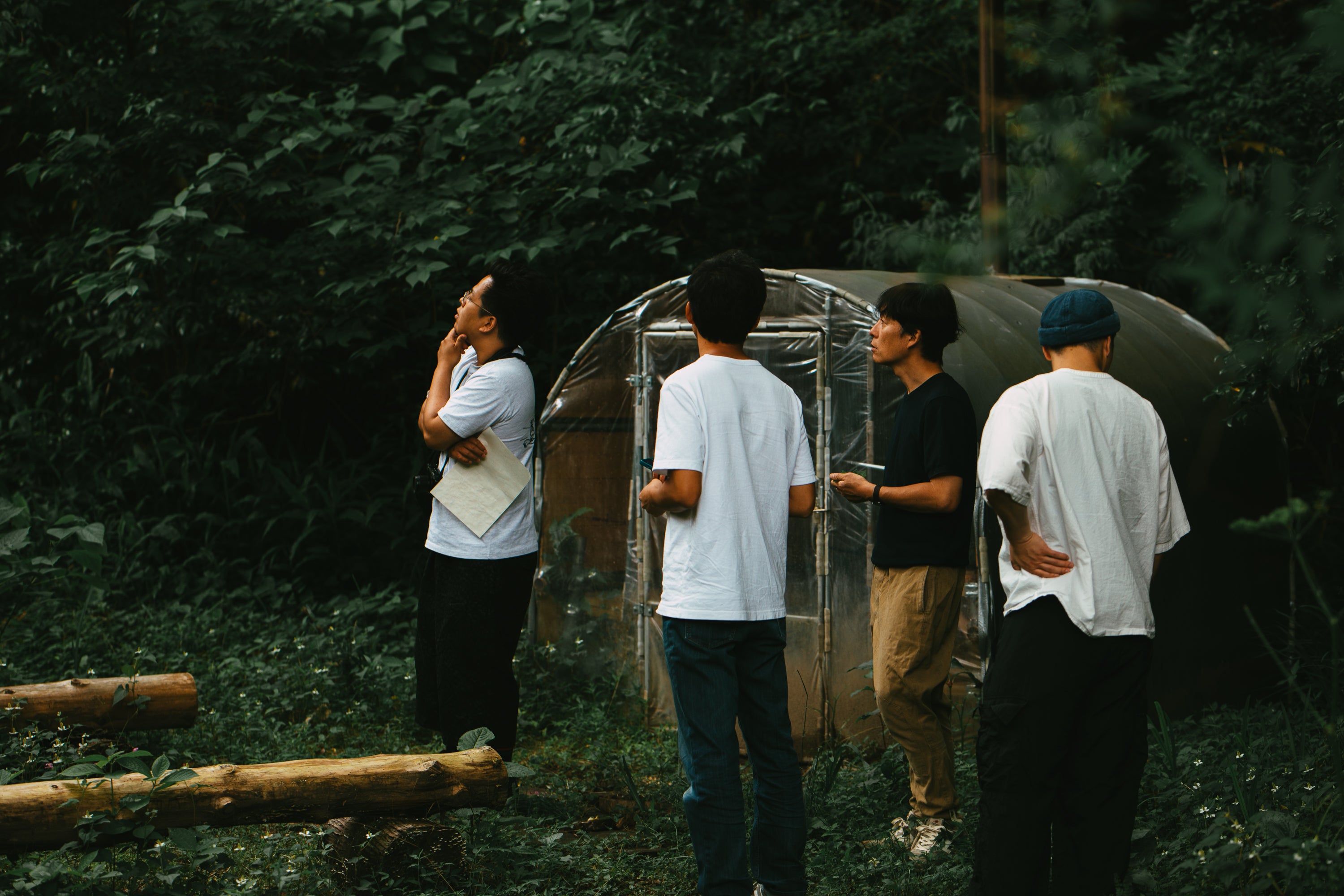 レモンカレールー / mitosayaさんで摘んだハーブのミード