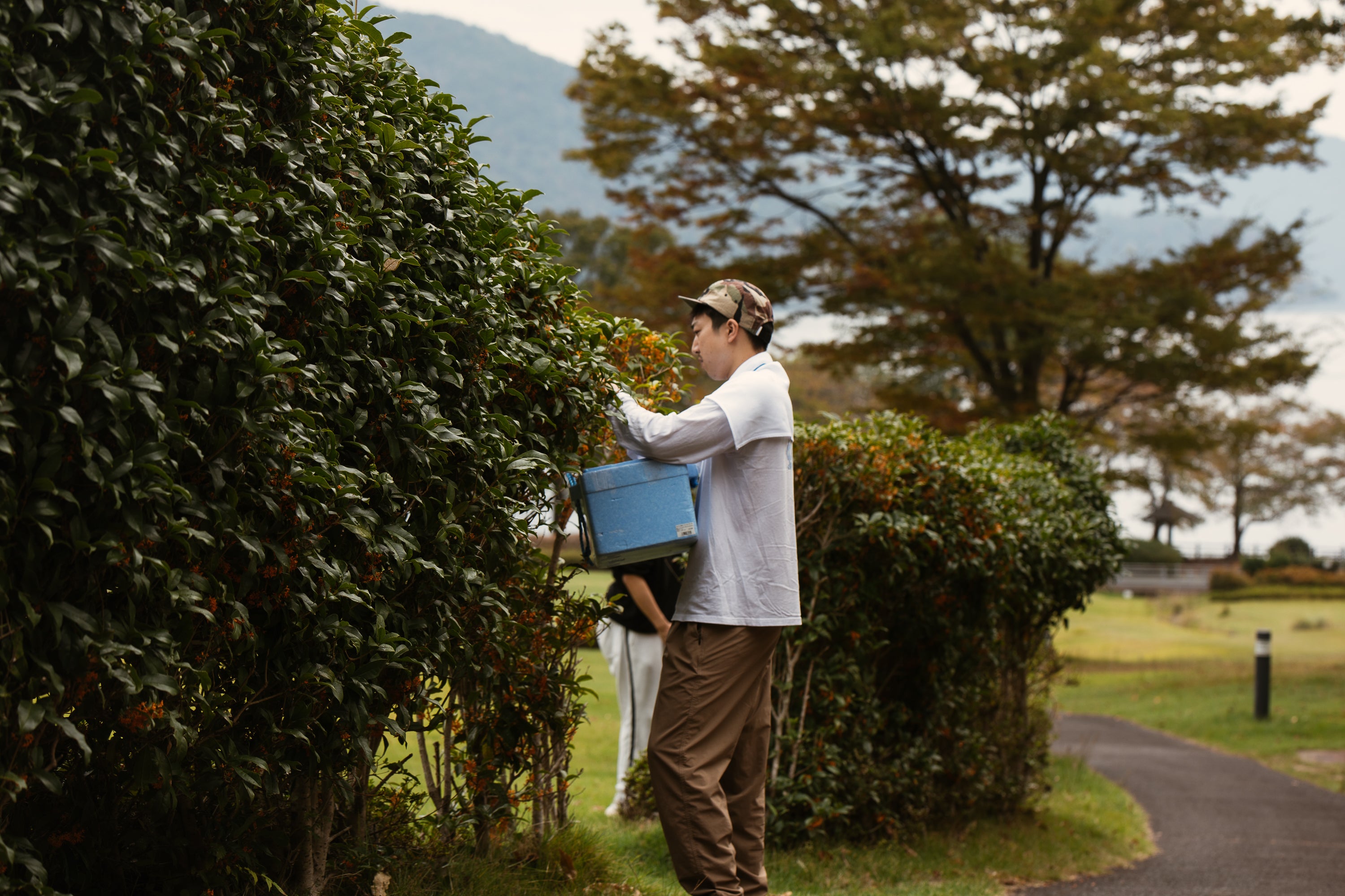 【季節・数量限定】SOWER Osmanthus|金木犀の瓶内2次発酵のミード〈国産蜂蜜使用〉