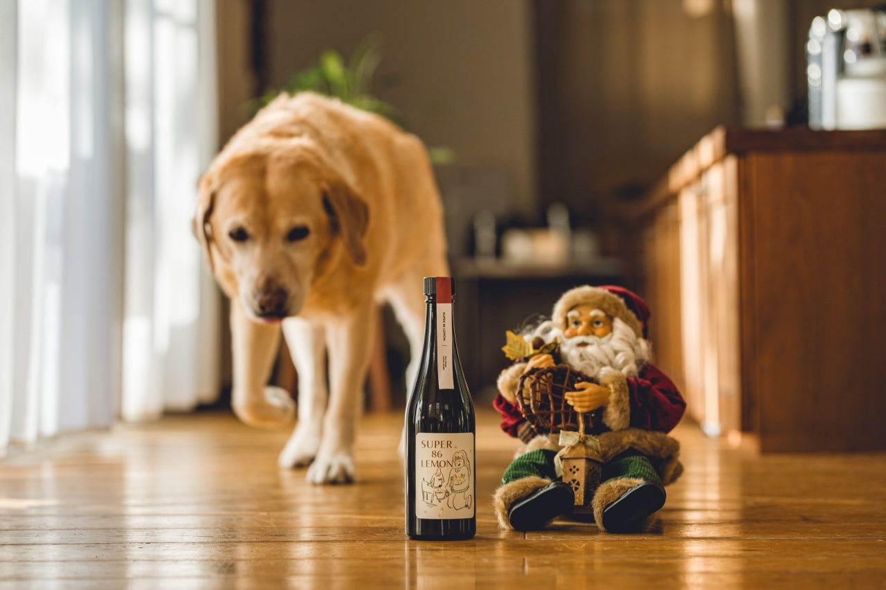 Super 86 Lemon / レモンと生姜のミード