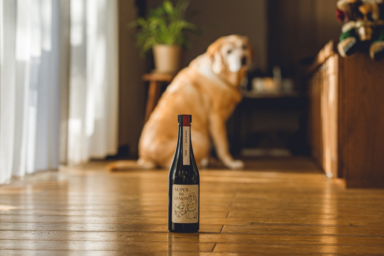 Super 86 Lemon / レモンと生姜のミード