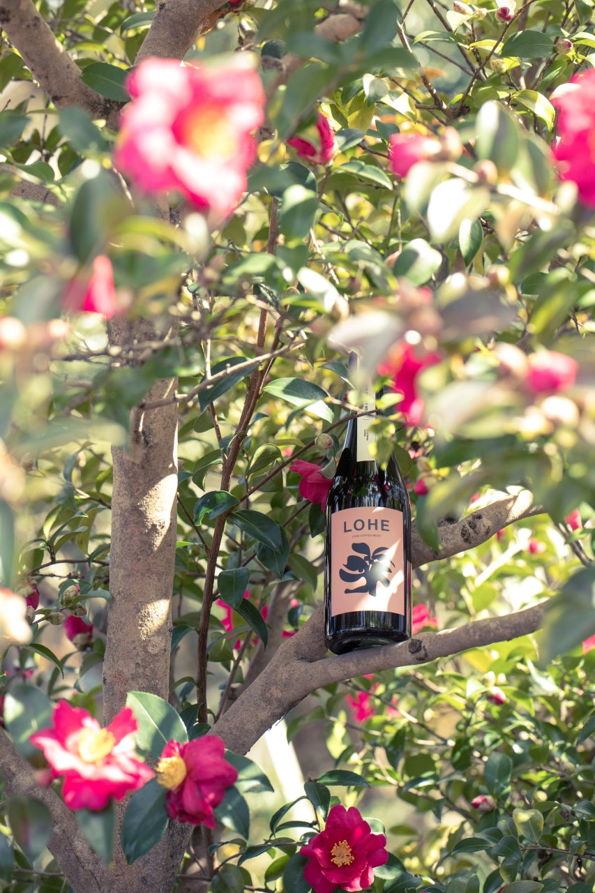 LOHE COFFEE MEAD | コーヒーのミード