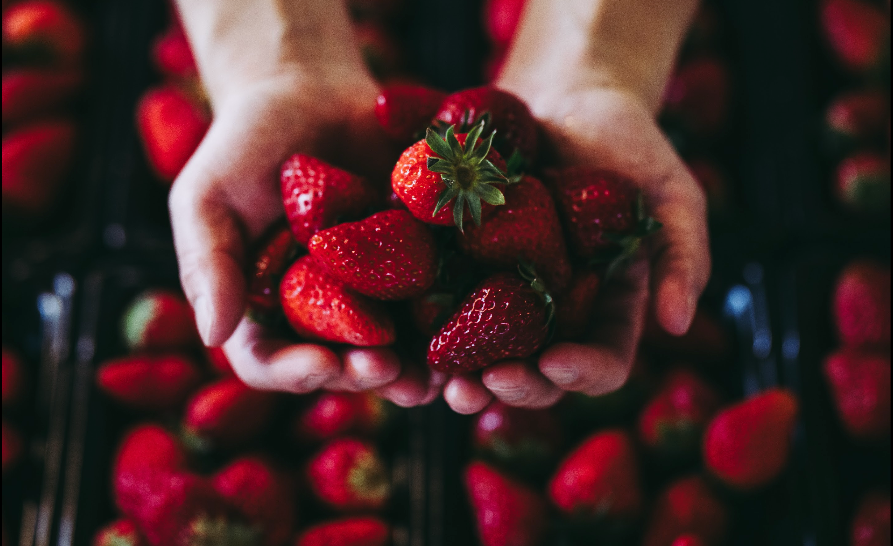 kotokatoka - deep affection- / イチゴのバレルエイジミード