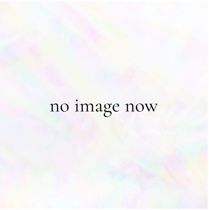 定番商品 + ONE - "DEEPSEEK -Mango-"