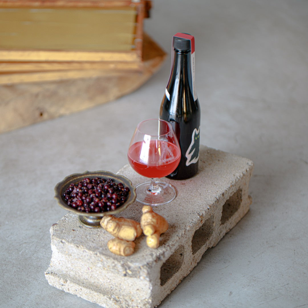 Ginger Cat 4 | 生姜とカシスのミード