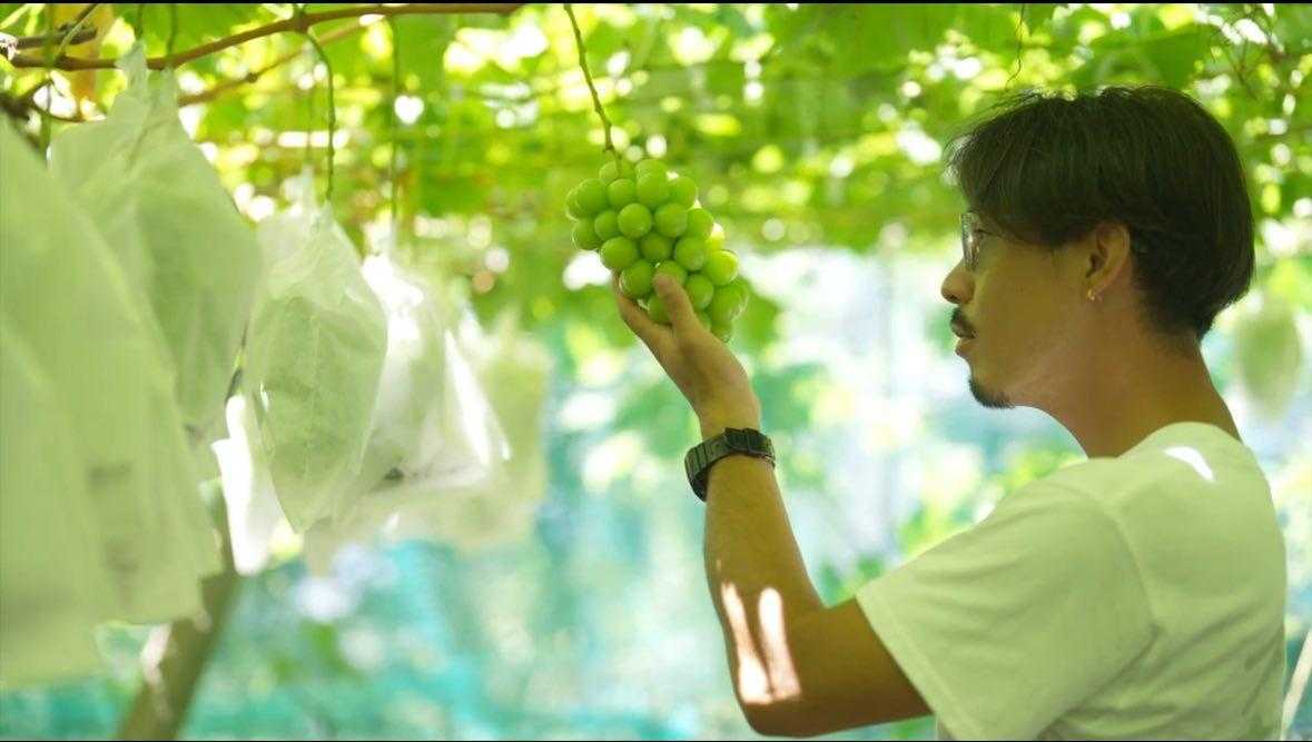 Pluck / シャインマスカットのミード