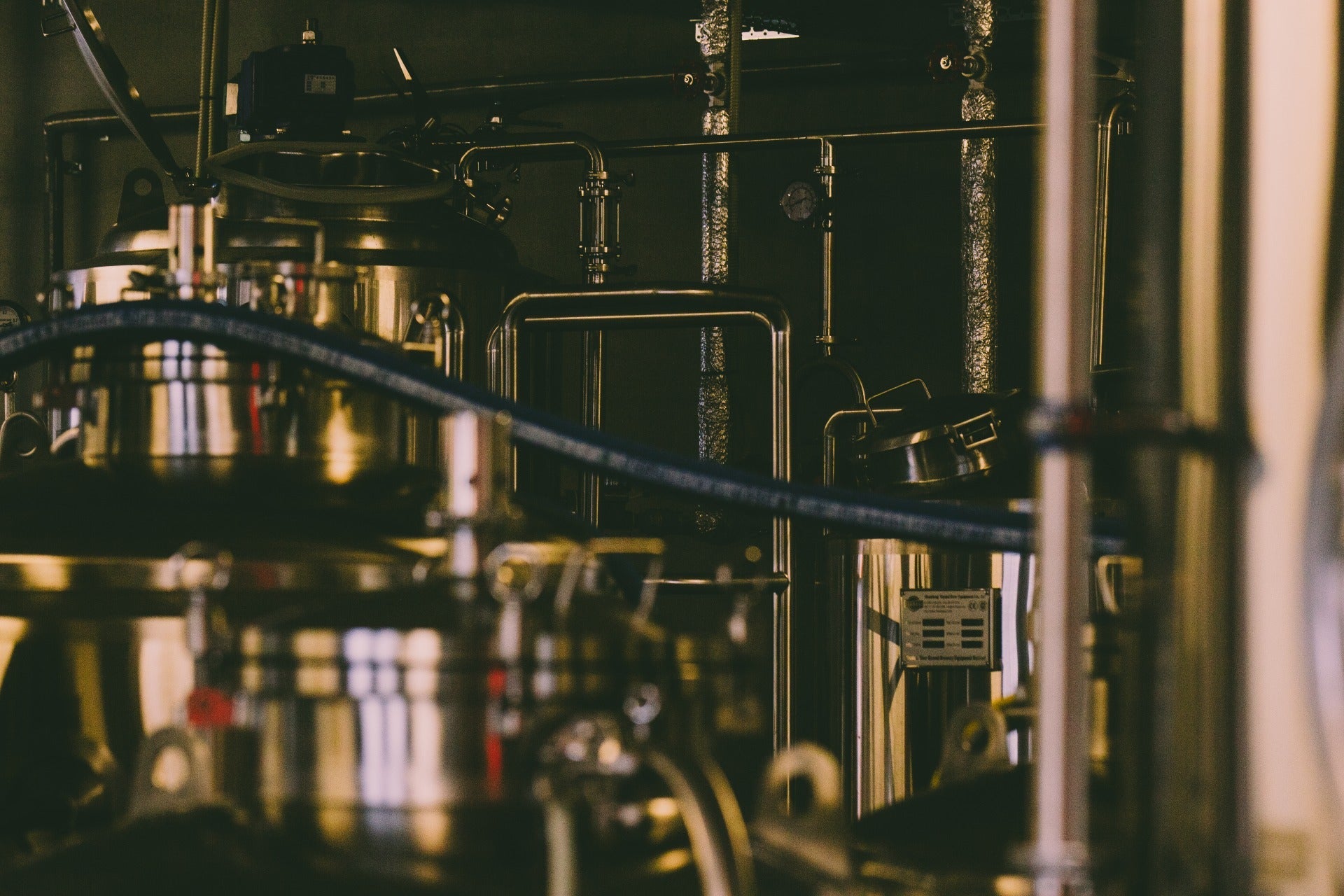 Giou -祇王 / 蜂蜜のみで醸したドライなミード