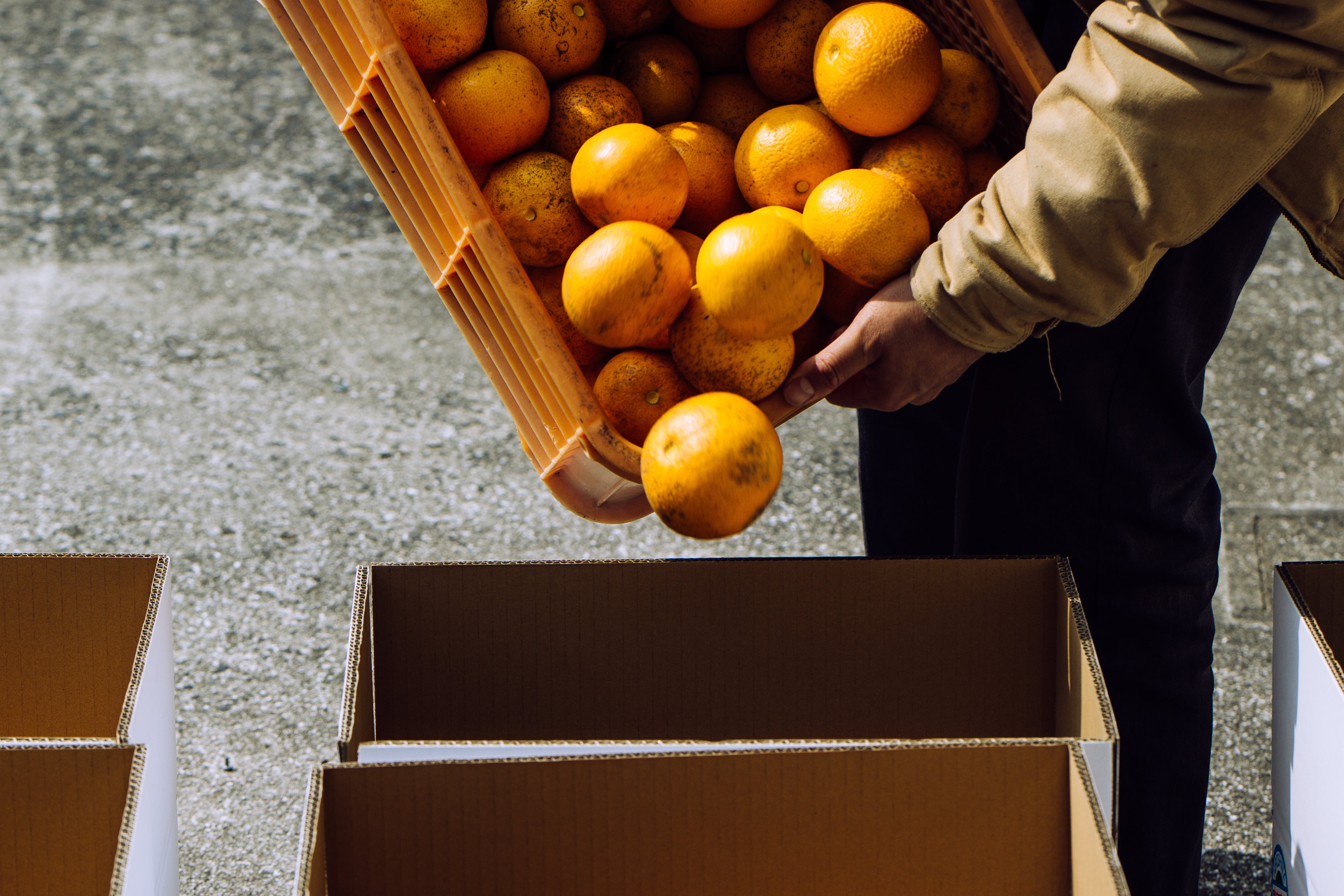 【NEW】Blue C 2025 / 尾道産の八朔と安政柑のミード