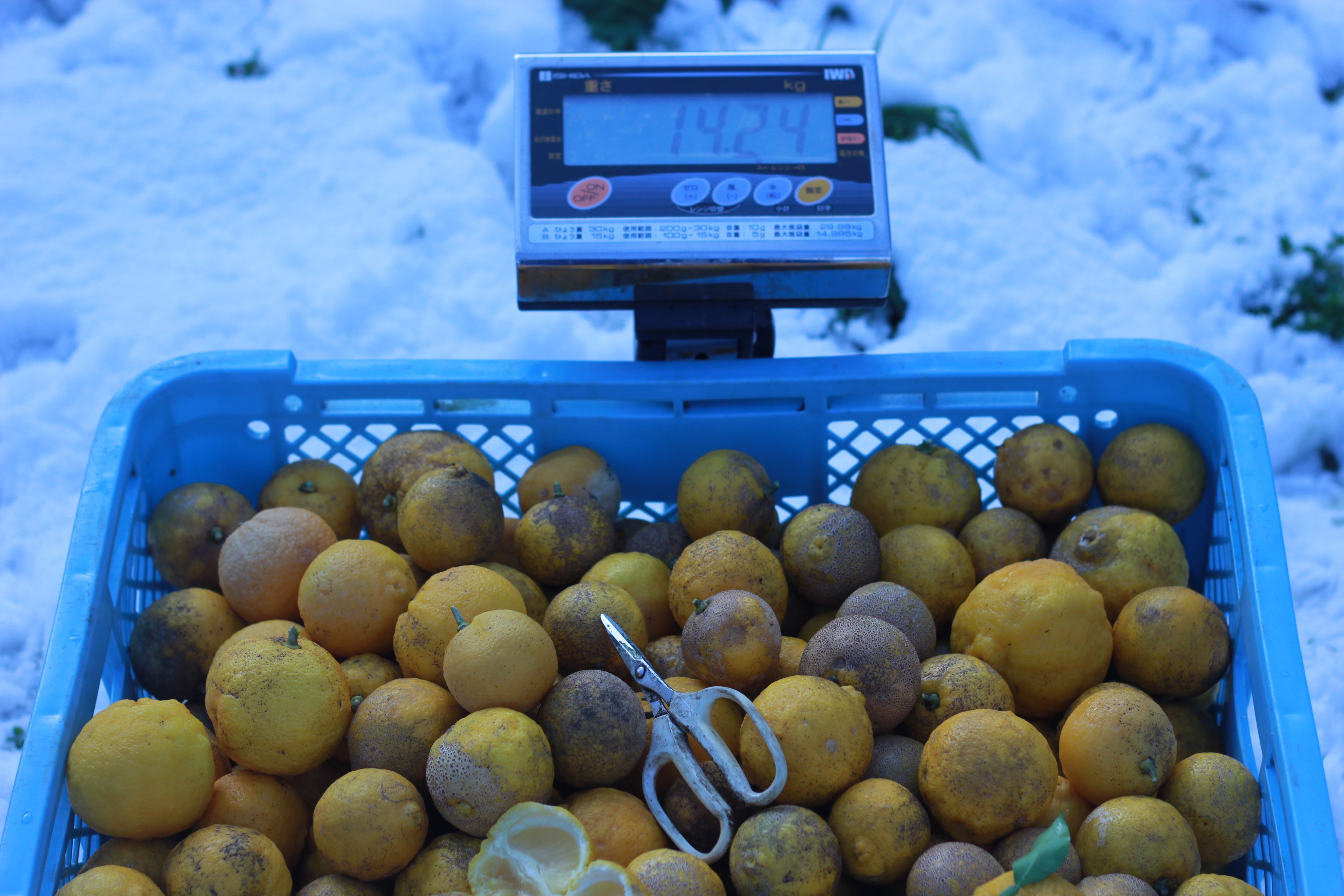 原材料(カボス)