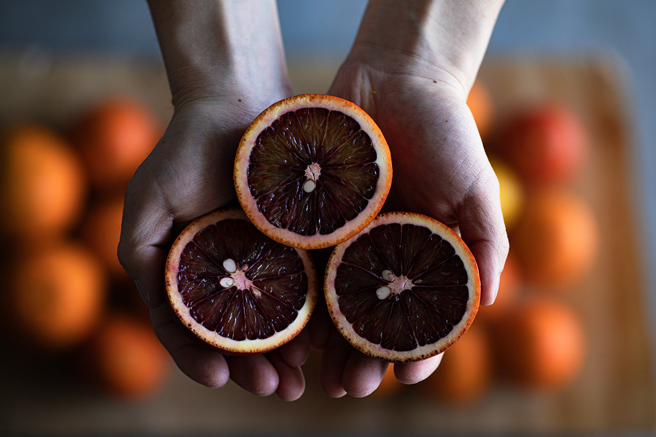 前略、ソムリエな君 - 番外編「ポー」