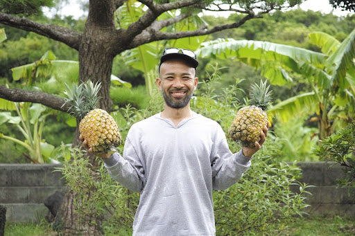 静かな畑で見つけた“愛”。久高さんとパイナップル畑の話 - ファームくだか 久高さん