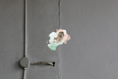 ラベル_生姜とぶしゅかんのミード