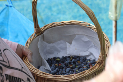 久美子 '23 / 無農薬ブルーベリーのミード