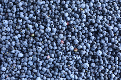 久美子 '23 / 無農薬ブルーベリーのミード