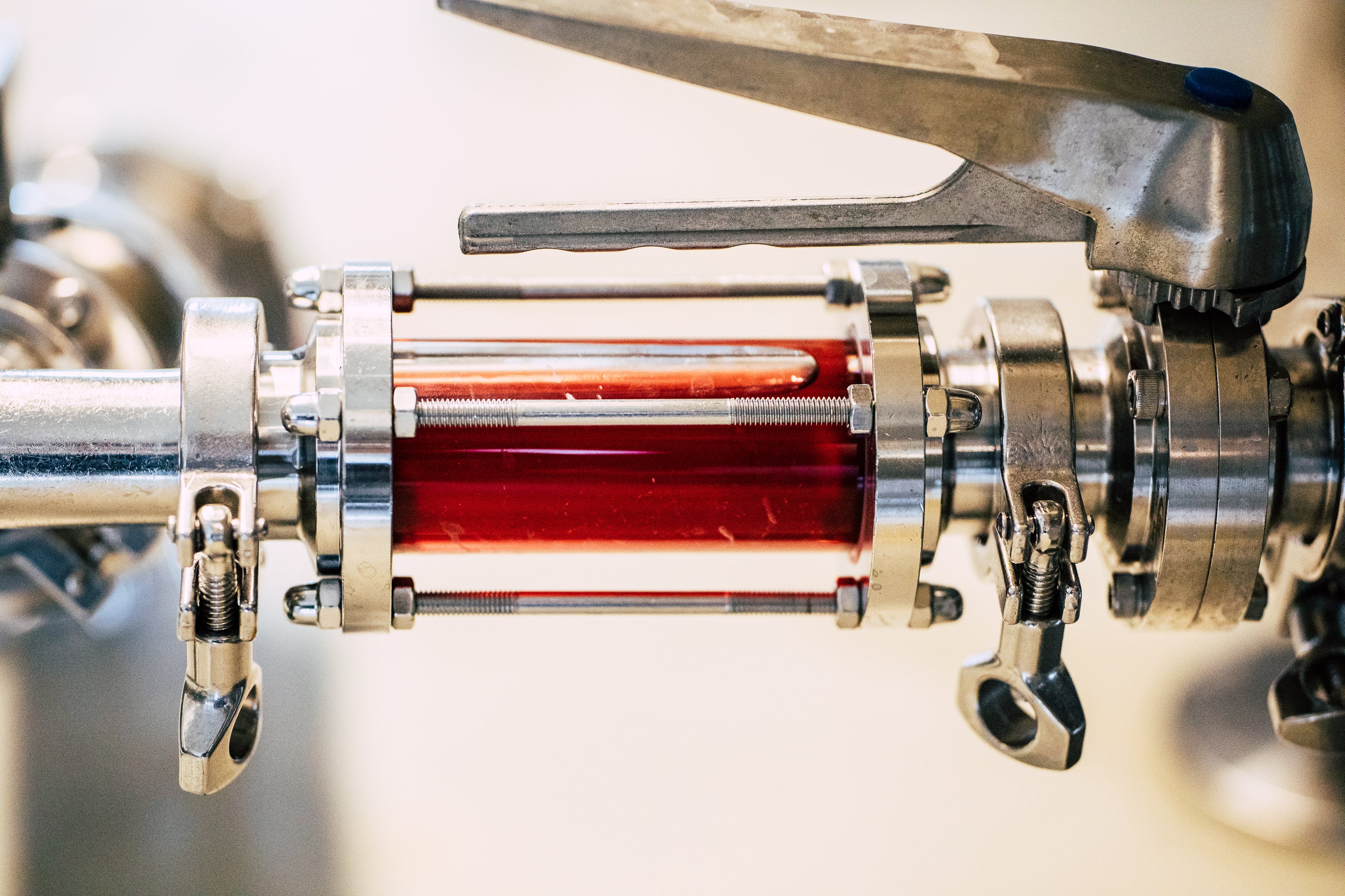 久美子 '23 / 無農薬ブルーベリーのミード