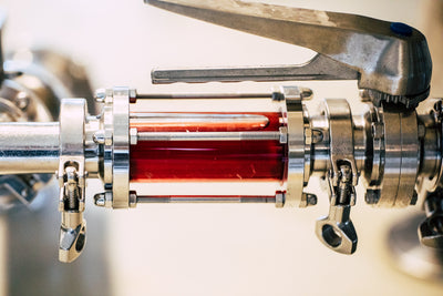 久美子 '23 / 無農薬ブルーベリーのミード