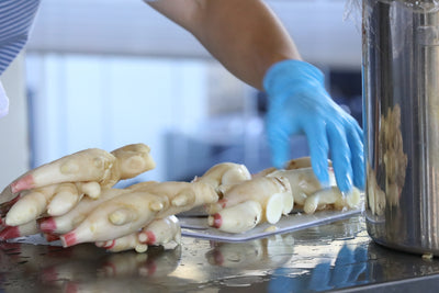 Ginger Cat 4 / 生姜とカシスのミード