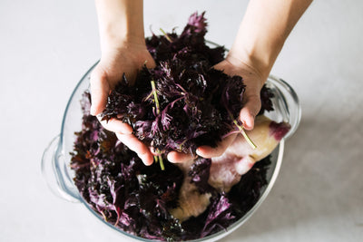 Kinoshita / Pink grapefruit and chili mead