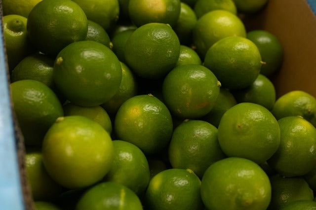 【定番】What Churchill Said / ジュニパーベリーとライムのミード