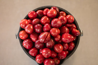 Papan / プラムとシナモンとカカオニブのミード