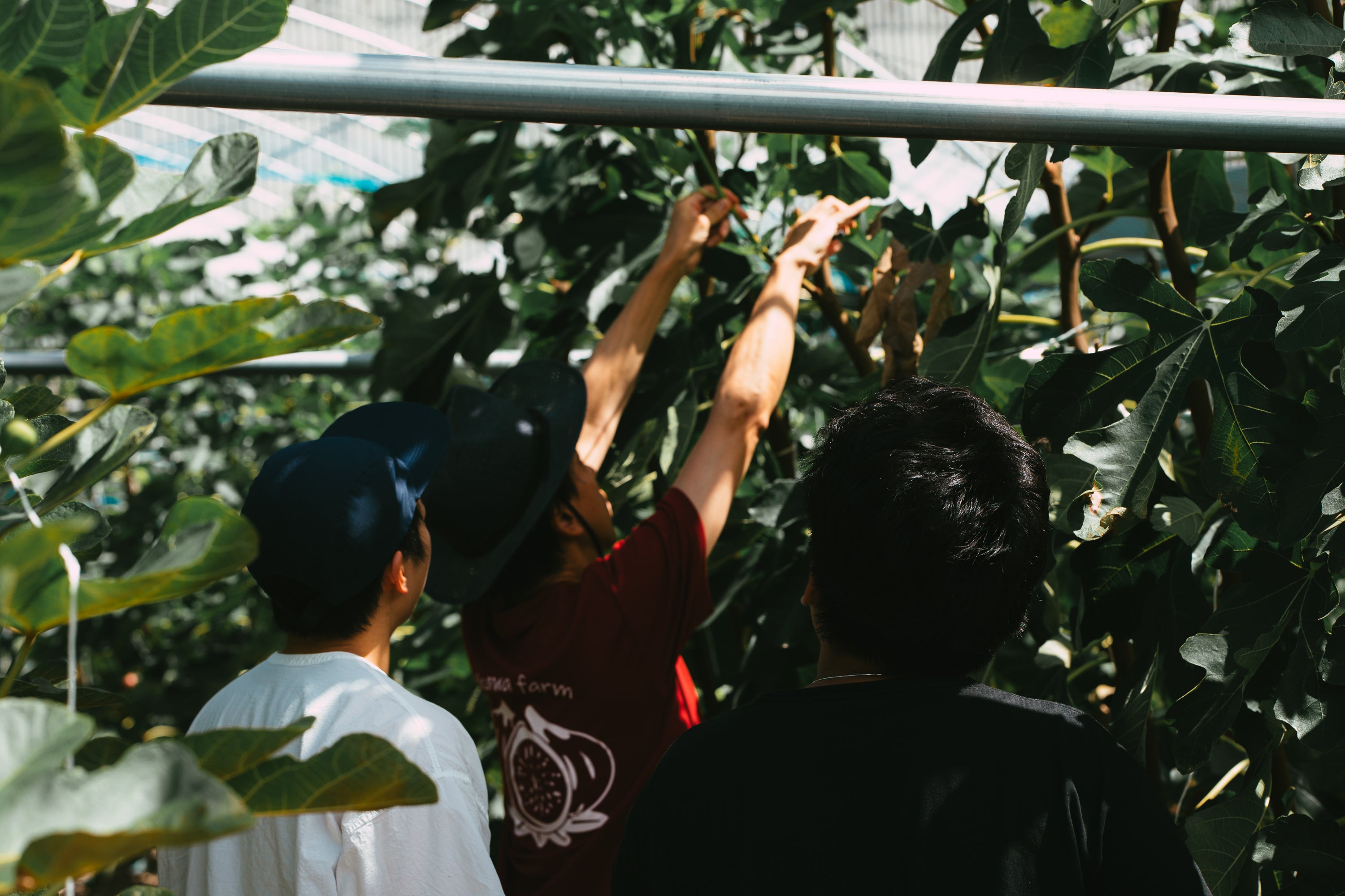 Join us day2 / いちじくと黒胡椒のミード