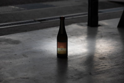 なつメロ2 / スイカとセロリと八朔のミード