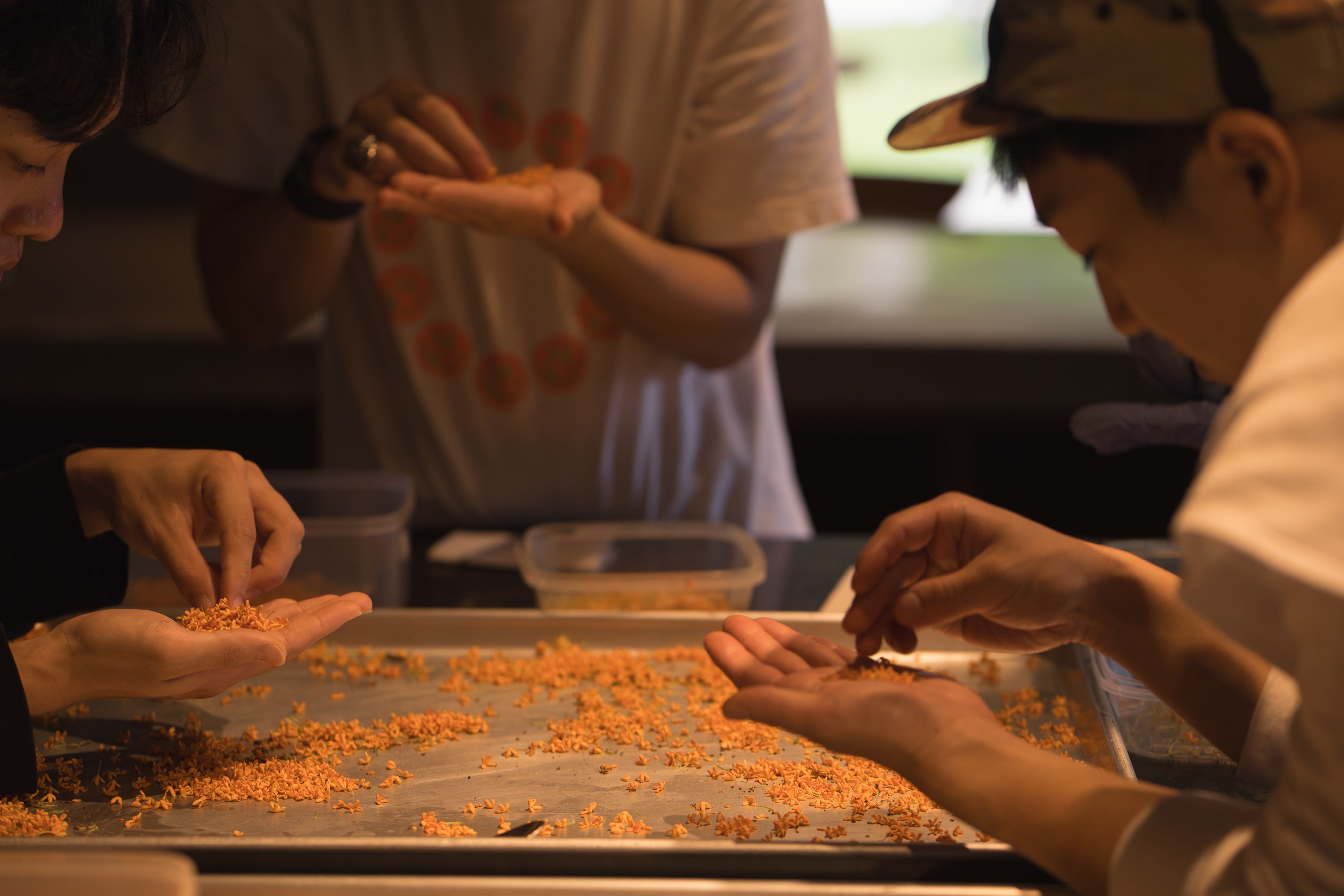 【季節・数量限定】SOWER Osmanthus / 金木犀の瓶内2次発酵のミード〈国産蜂蜜使用〉