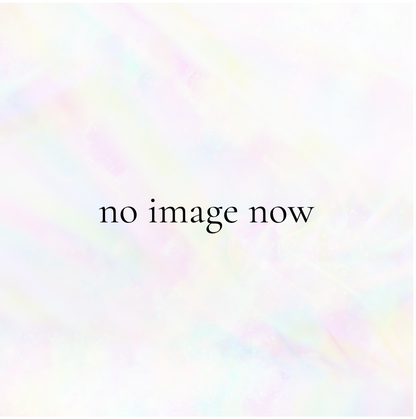 定番商品 + ONE - &quot;DEEPSEEK -Mango-&quot;