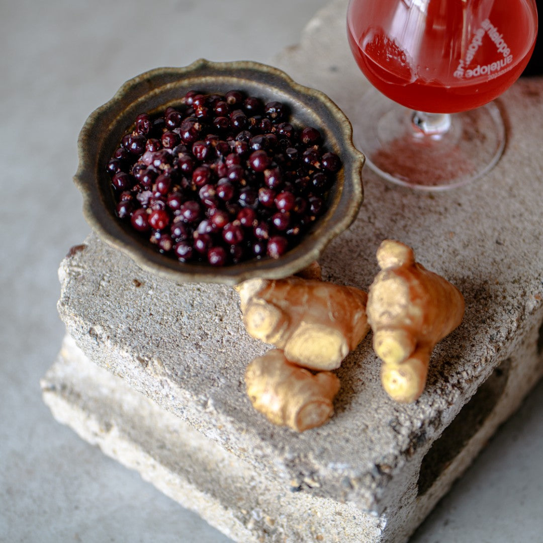 Ginger Cat 4 / 生姜とカシスのミード