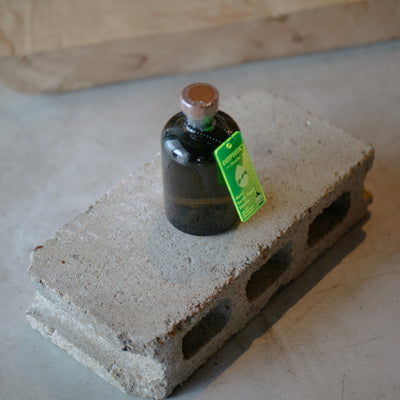 DEEPSEEK - Shochu（おはようびわ湖専用）