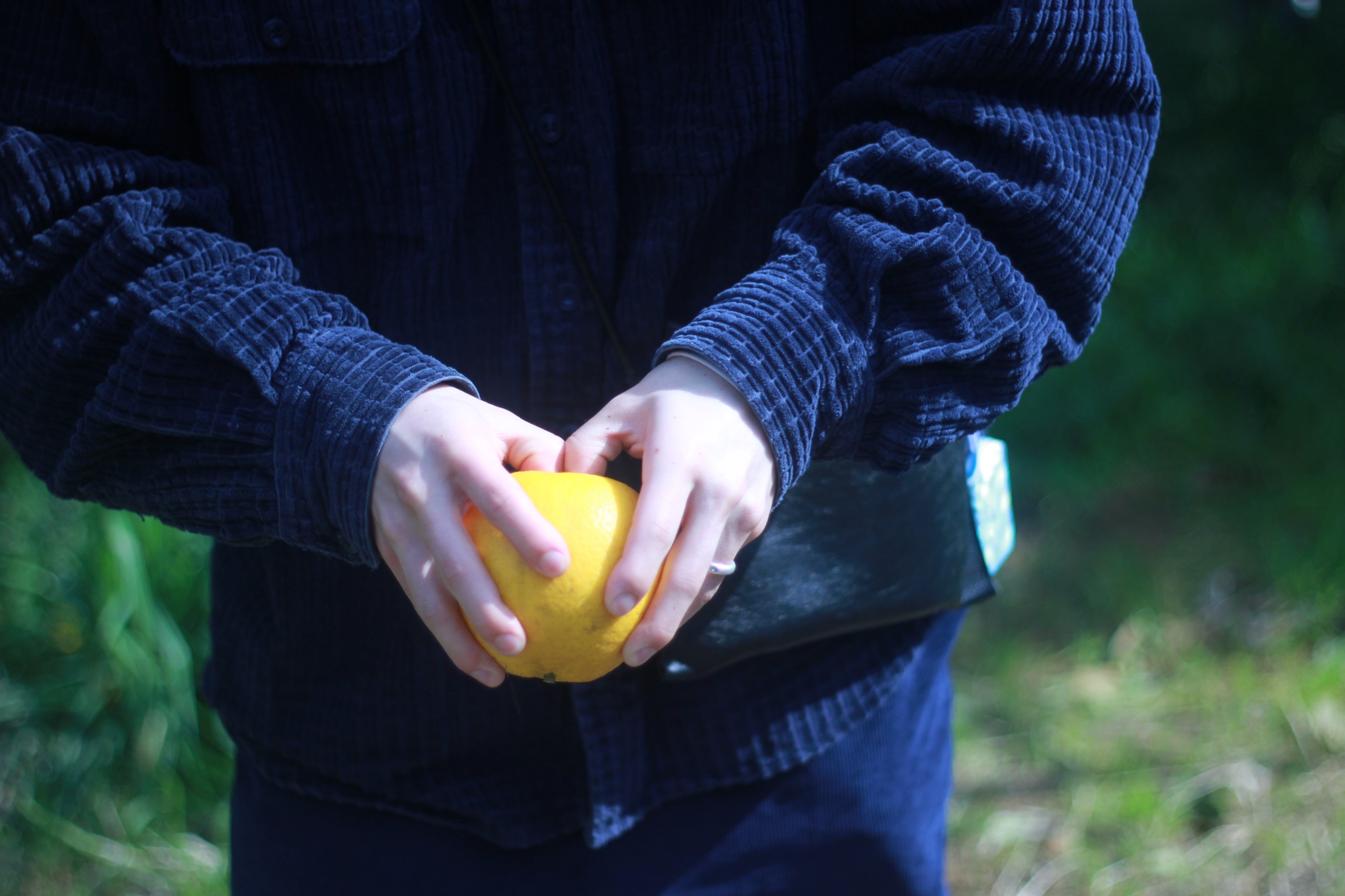 Jog week / みんなで絞った晩柑を使った優しい度数のミード