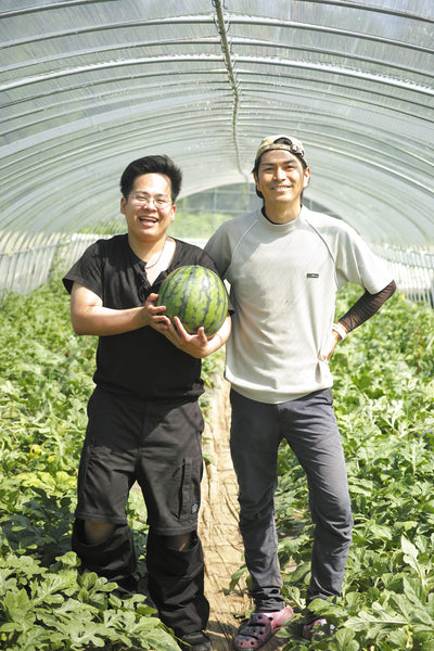 なつメロ2 / スイカとセロリと八朔のミード