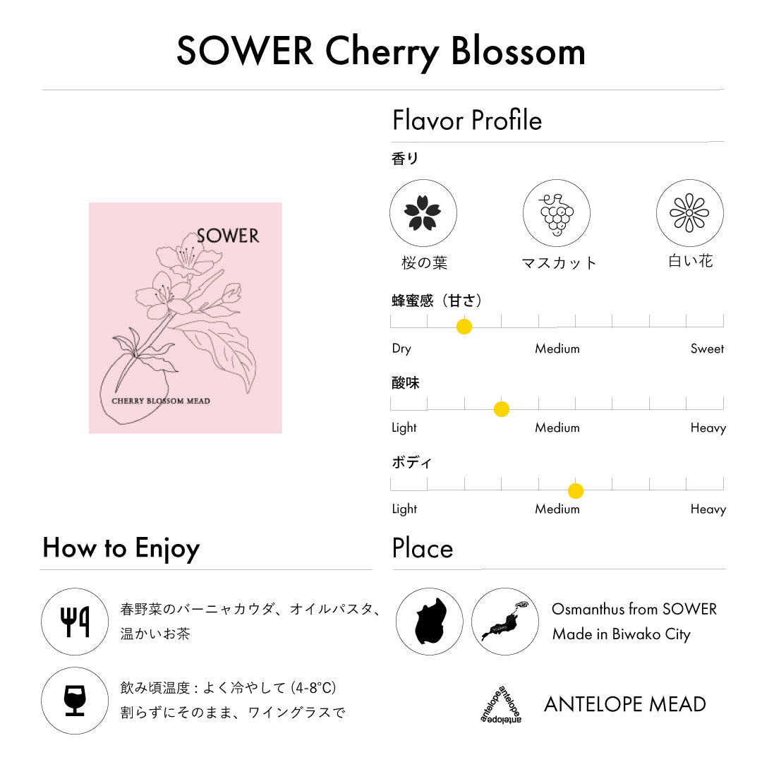 【季節・数量限定】SOWER Cherry blossom / 桜のミード〈国産蜂蜜使用〉