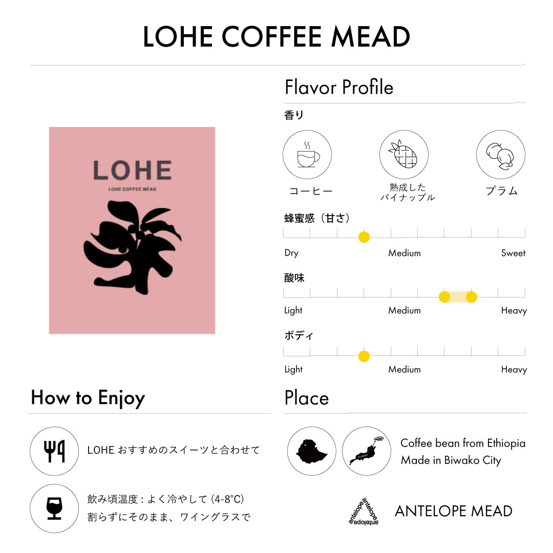 【NEW】定番/季節限定 Special アソート vol.1