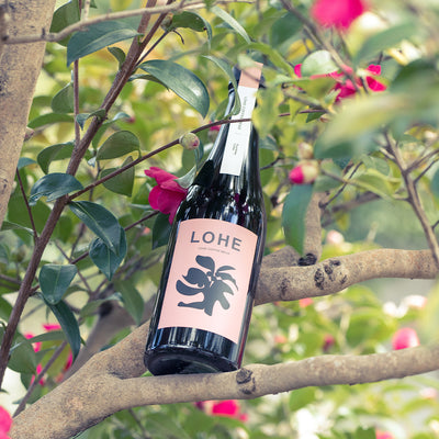 【NEW】定番/季節限定 Special アソート vol.1