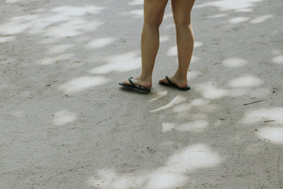 【季節限定】Summer Dew Mead Box