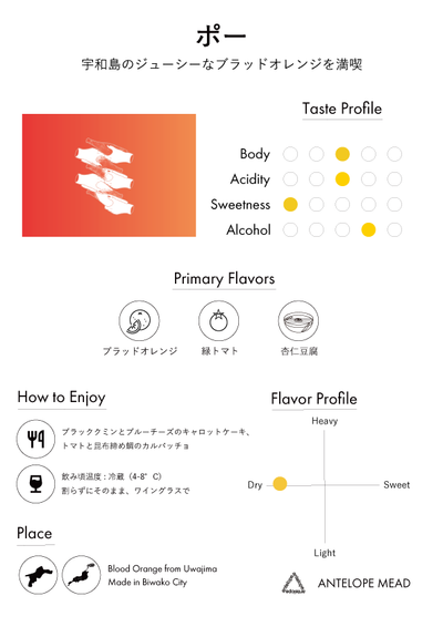 Midnight Mead Club Box