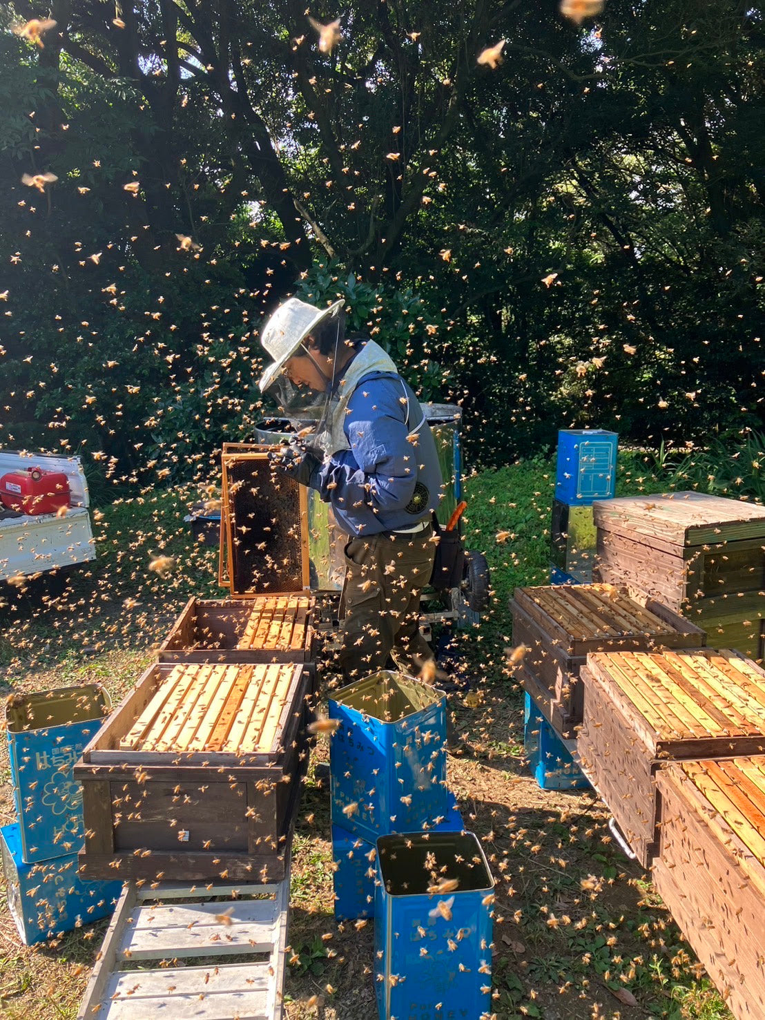 シオミード'24 / 浜松産蜂蜜を使用した白ワインバレルエイジミード